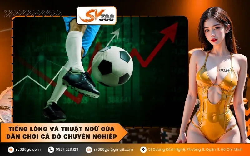 Tiếng lóng và thuật ngữ của dân chơi cá độ chuyên nghiệp