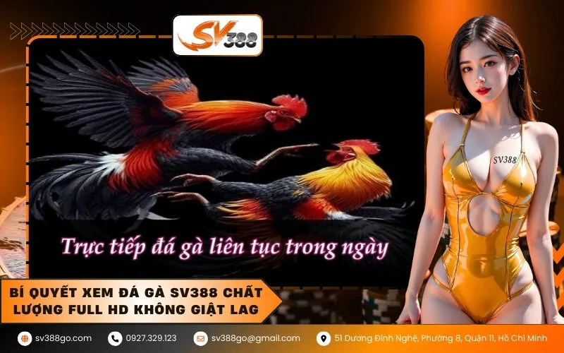Bí quyết xem đá gà SV388 chất lượng Full HD không giật lag