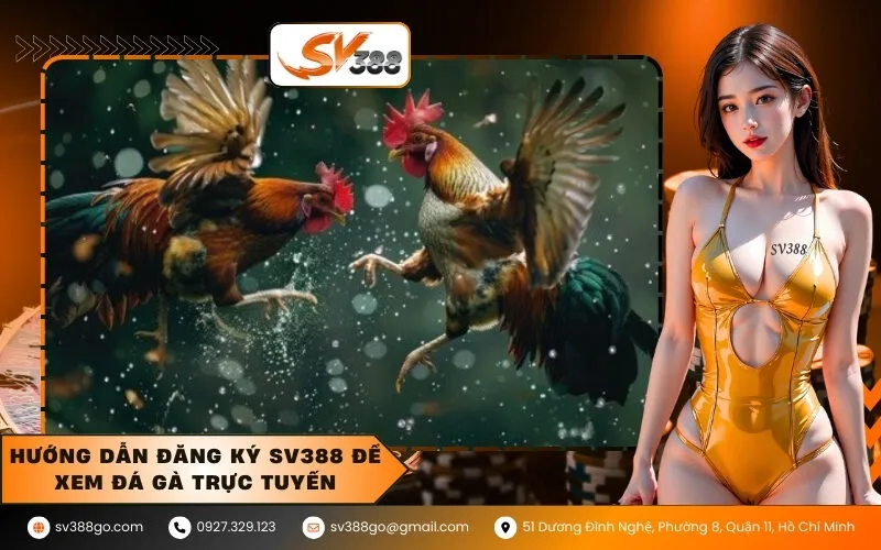 Hướng Dẫn Đăng Ký SV388 Để Xem Đá Gà Trực Tuyến