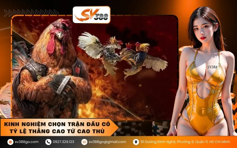 Kinh nghiệm chọn trận đấu có tỷ lệ thắng cao từ cao thủ