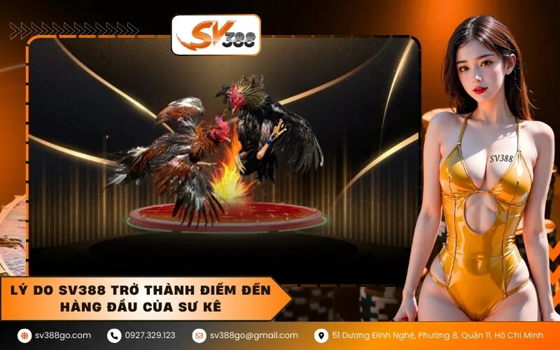 Lý do SV388 trở thành điểm đến hàng đầu của sư kê