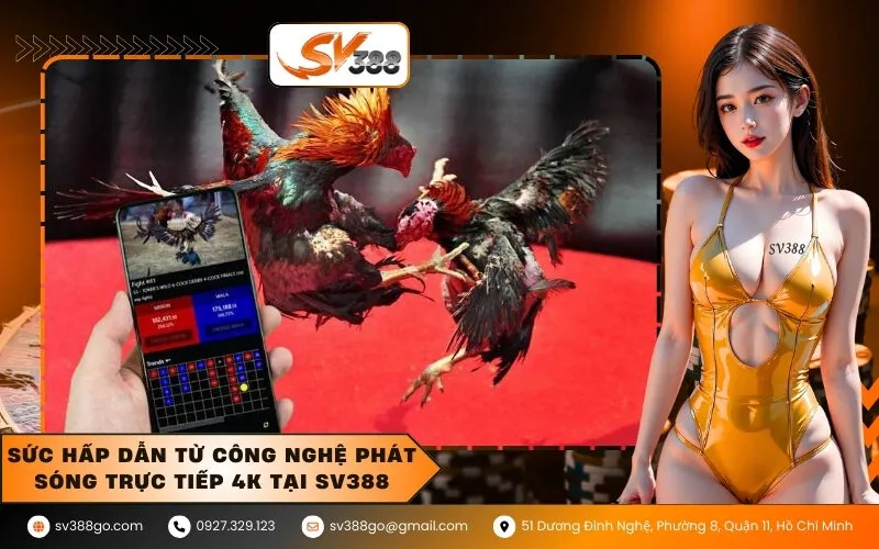 Sức hấp dẫn từ công nghệ phát sóng trực tiếp 4K tại SV388