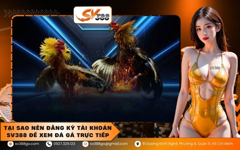 Tại sao nên đăng ký tài khoản SV388 để xem đá gà trực tiếp