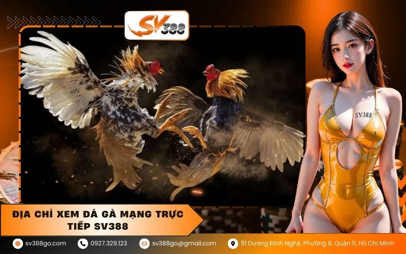 Địa Chỉ Xem Đá Gà Mạng Trực Tiếp SV388