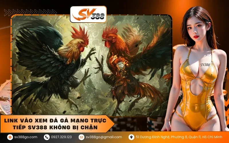 Link vào xem đá gà mạng trực tiếp SV388 không bị chặn