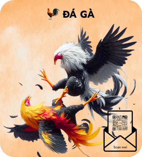 đá gà