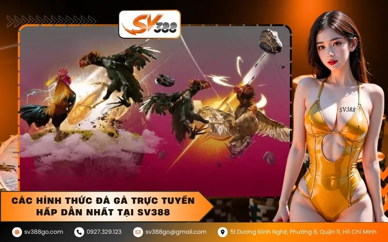 Các hình thức đá gà trực tuyến hấp dẫn nhất tại SV388