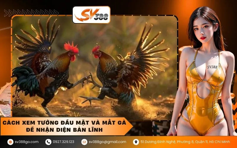 Cách xem tướng đầu mặt và mắt gà để nhận diện bản lĩnh