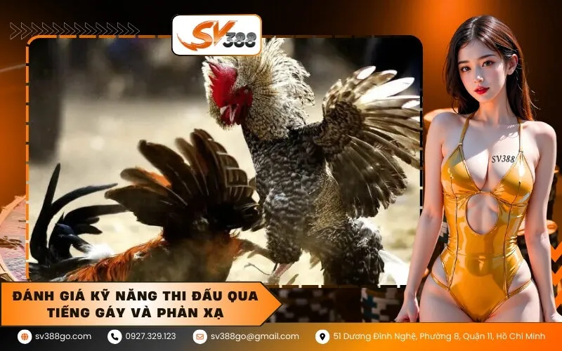 Đánh giá kỹ năng thi đấu qua tiếng gáy và phản xạ