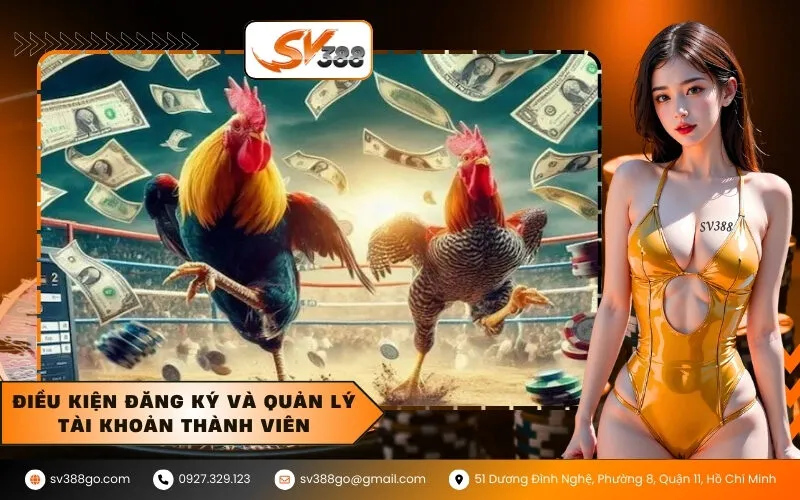 Điều kiện đăng ký và quản lý tài khoản thành viên