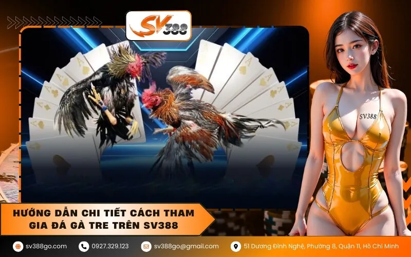 Hướng dẫn chi tiết cách tham gia đá gà tre trên SV388