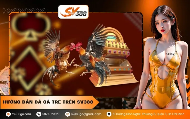 Hướng dẫn Đá gà tre trên SV388