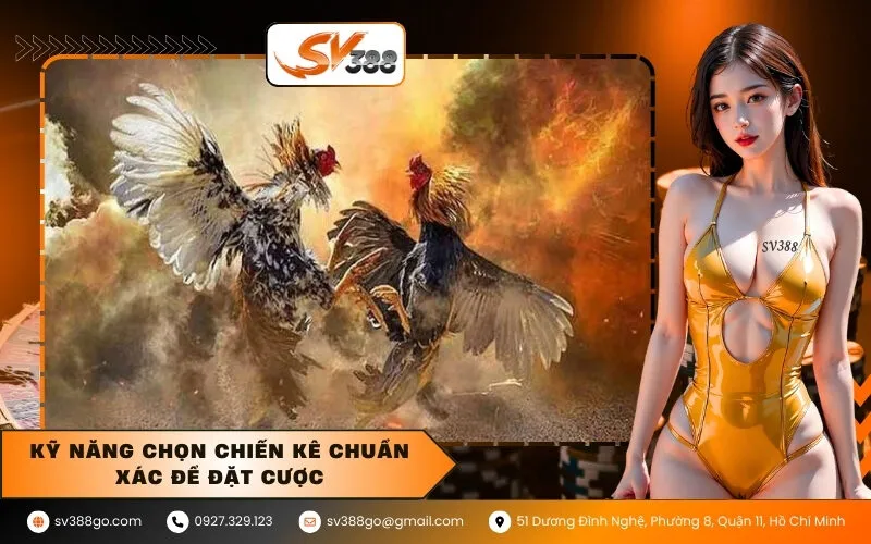 Kỹ năng chọn chiến kê chuẩn xác để đặt cược