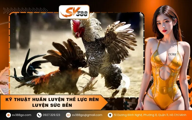 Kỹ thuật huấn luyện thể lực rèn luyện sức bền