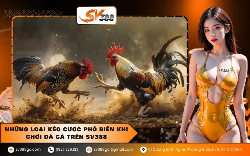 Những loại kèo cược phổ biến khi chơi đá gà trên SV388