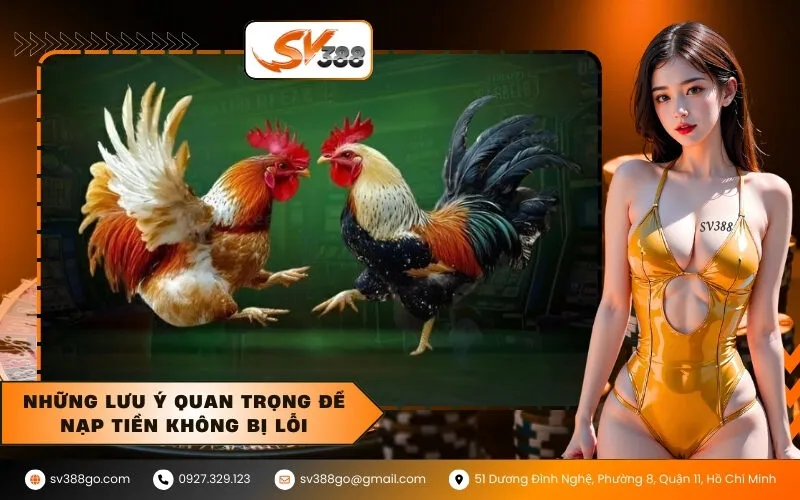 Những Lưu Ý Quan Trọng Để Nạp Tiền Không Bị Lỗi