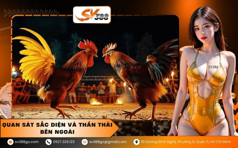 Quan sát sắc diện và thần thái bên ngoài